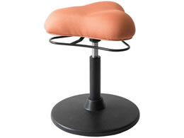 {쏊 v|[VXc[ [^Cv IW CH-800L