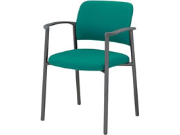 RN cpCX100 z It Œr O[r ~g