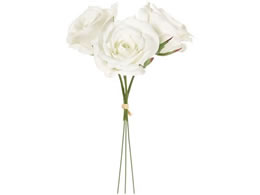   veBJ[YsbN #1 N[zCg 3{