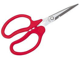 �L���{�V �L�������\�� �X�^���_�[�h