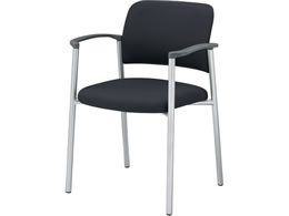 RN cpCX100 z It Œr Vo[r O[