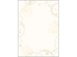 ^J fUCy[p[t[ AeB[N 10~5 4-3013