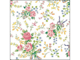 ^J  IrA ˔(530~757mm) 50 49-1562