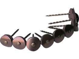 �_�C�h�[�n���g/�X�e�����X�A���P�B