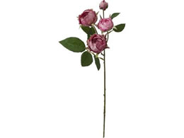 YDM  ~tB[[YXv[ _[N[u