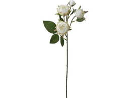 YDM  ~tB[[YXv[ zCgO[