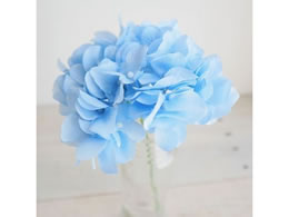   AXnChWA #55 SKYBL 171