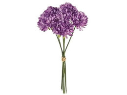   xG}sbN #51 LV LL 161 6{