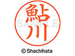 V`n^ l[ypl[ Vo[   X-GPS-0099