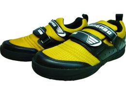 ���i �����v��2 �L������ 25.0 V1300CA-25.0