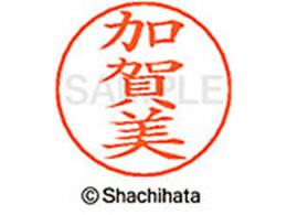 V`n^ l[ypl[ Vo[   X-GPS-0666