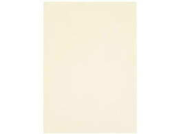 X}[go[ J[y[p[ A4  500 A262J-1