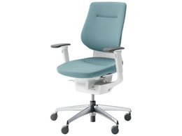 RN CO NbVw^[RCY IL V CRGA3213E1G439V