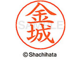 V`n^ l[ypl[ Vo[   X-GPS-0747