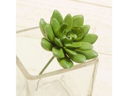 YDM  ^c^JN^XsbN CgO[