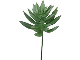 YDM  xPC\EJN^XsbN O[