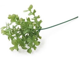 YDM  {bNXEbhsbN _[NO[