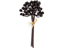 YDM  ~jNX^[x[sbN p[v