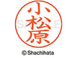 V`n^ l[ypl[ Vo[   X-GPS-1091