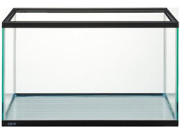 WFbNX }[i 60  MR600BKSTN 8429