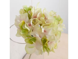   AXnChWA #22 CRPKGR 151