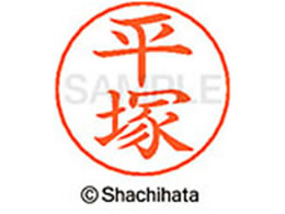 �V���`�n�^ �l�[���y���p�l�[�� �V���o�[ ���� ���� X-GPS-1698