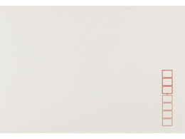 LOR[|[V m2 ~[YRbg 100~20 130310