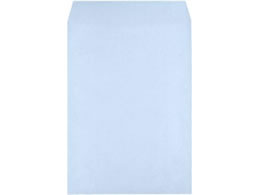 LOR[|[V p2 Hi\tgJ[ ANA X~\ GRt 500