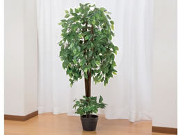 t@~[ECt CeAO[ xW~ 04220