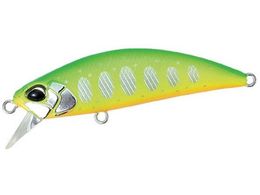 fI XsAwbhEL 50SP #ASI4044 t`[g}