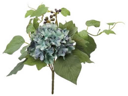 YDM  AWTC~bNXubV u[O[