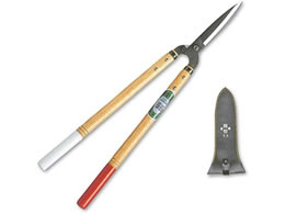 ���P ������ 55�^