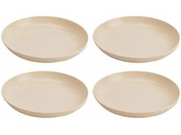 LveX^bO TT}[` RۃEhv[g20cm 4g