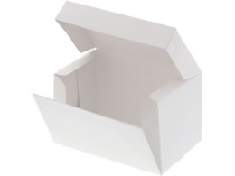 wCR[ TChI[vP[L 2 P[L4p  10 004260001