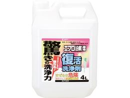 �J���y�n�s�I �������� �G�t���p 4L