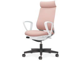 RN ~g2 z AfBViT[NI r{̔AbVsN