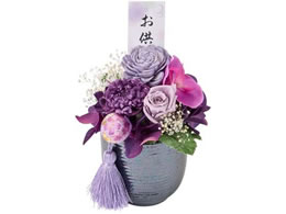  vU[uht[ Ԉ() #17 p[v