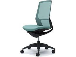 IJ tBm nCobN NbV I Z[W C737MR