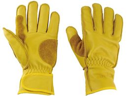 LveX^bO AEghA\tgU[O[u ₷ t[TCY