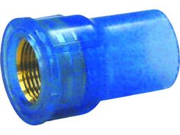 �N�{�^�P�~�b�N�X/����TS ���^���������\�P�b�g