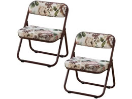 t@~[ECt ܂肽߂鍂֎q [^Cv 2 03859