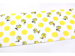 J mtCNV[g Peanuts EbhXgbNEhbg MTCARPT01