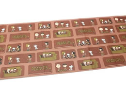 J mtCNV[g Peanuts s[ibcEK MTCARPT05