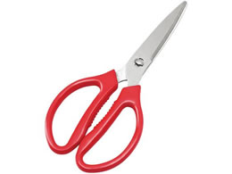 EBM XeX ZNgLb`oT~ bh 0195520