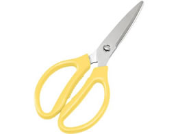 EBM XeX ZNgLb`oT~ CG[ 0195530