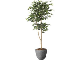 A[gNGCV i` xW~ 1.6m 61280069