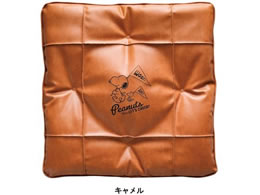 �{���t�H�[�� �X�k�[�s�[�`�A2 45�~45cm (�ȓ��p) CA 5711-06CA