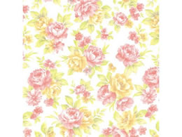 wCR[  S GvX[Y 100 002353702