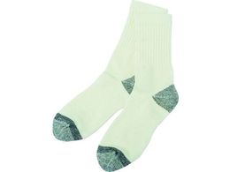 TRUSCO LfIZR 2g TDG-2P