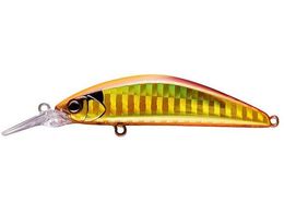 WbJ TM gR[GT 56SR-F #TCgAJL